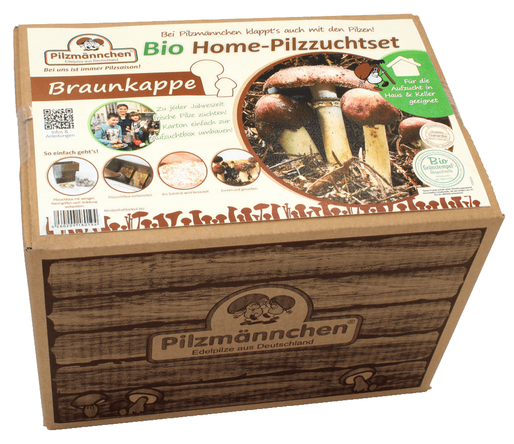 Anleitung Braunkappe Bio Home-Pilzzuchtset