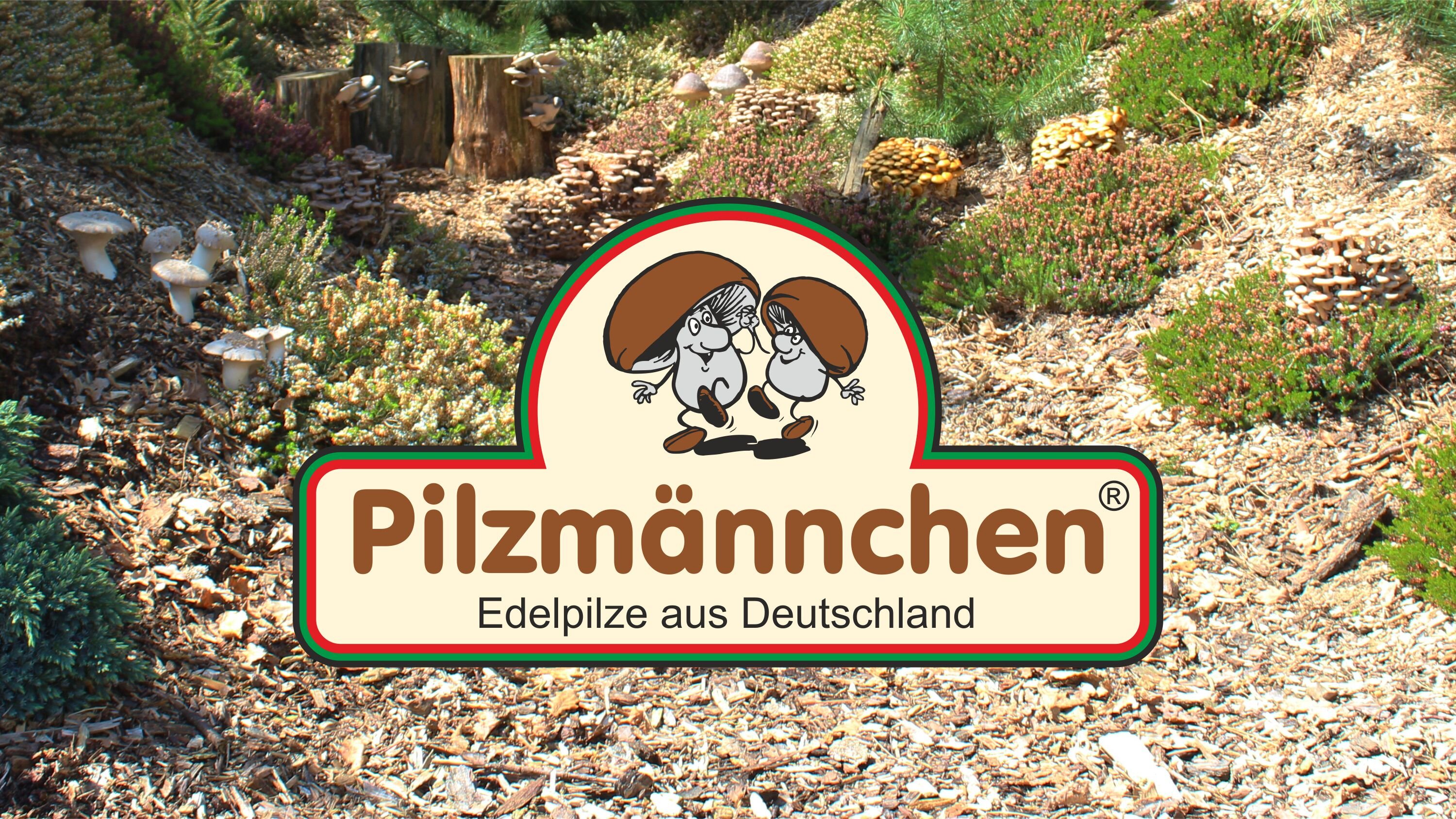 Videoanleitungen - Pilzmaennchen.de