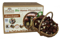 Braunkappen Bio Home-Pilzzuchtset