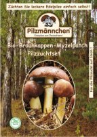 Braunkappe-Myzelpatch-Pilzzuchtset BIO