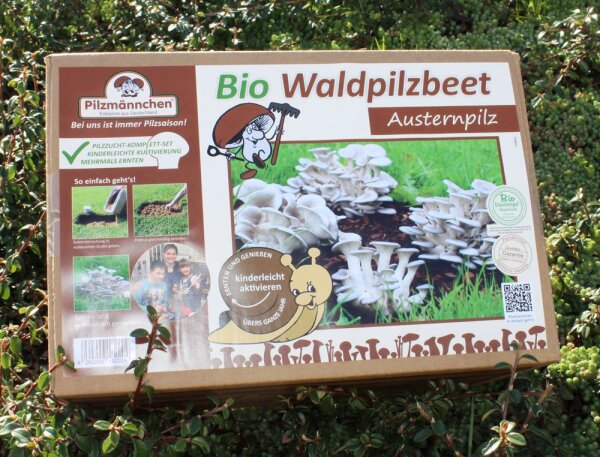 Austernpilz-Bio-Waldpilzbeet