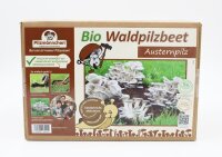 Austernpilz-Bio-Waldpilzbeet