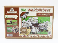 Austernpilz-Bio-Waldpilzbeet