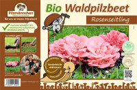 Rosenseitling-Bio-Waldpilzbeet
