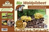 Limonenpilz-Bio-Waldpilzbeet
