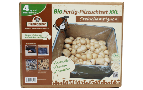 Bio Steinchampignon-Pilzzuchtset