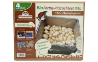 Bio Steinchampignon-Pilzzuchtset
