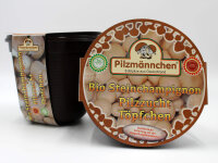 Champignon-Pilzzucht-Töpfchen BIO