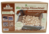 Bio Steinchampignon-Pilzzuchtset Normalpackung 5 kg
