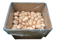 Bio Steinchampignon-Pilzzuchtset Normalpackung 5 kg