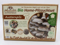 Austernpilz Bio Home-Pilzzuchtset