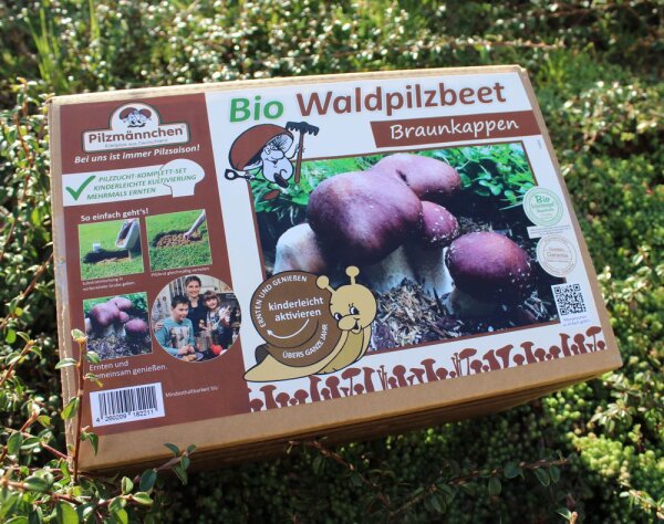 Braunkappen-Bio-Waldpilzbeet