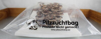 Bio Shiitake Pilzzuchtkultur Kraftpaket -NEUHEIT- mit Pilzzuchtbag