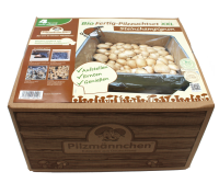 Bio Steinchampignon-Pilzzuchtset XXL Großpackung 10 kg