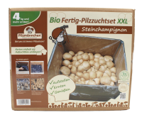 Bio Steinchampignon-Pilzzuchtset XXL Großpackung 10 kg