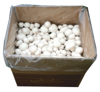 Bio Champignon-Pilzzuchtset XXL Groß-Packung 10 kg