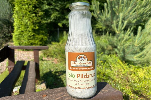 Rosenseitling-Pilzbrut BIO Körner-Pilzbrut 1 Liter