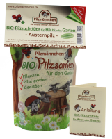 Pilzzauber Pilzzuchttüte BIO Rosenseitling