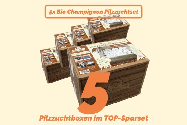 Super Angebot - 5 x weiße BIO Champignon-Pilzzucht Boxen