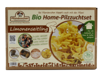 Limonenseitling Bio Home-Pilzzuchtset