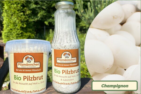 Weißer Champignon-Pilzbrut BIO 1 Liter