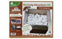 Bio Champignon-Pilzzuchtset XXL Groß-Packung 10 kg
