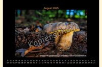 Pilze 2025 Wandkalender, A 4