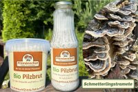 Schmetterlings-Tramete-Pilzbrut BIO 1 Liter