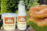 Eierporling-"Chicken of the woods"-Pilzbrut BIO 1 Liter