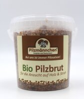 Austernpilz-Pilzbrut BIO 1 Liter
