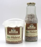 Kräuterseitling-Pilzbrut BIO 1 Liter
