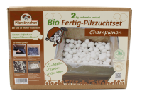 Bio Champignon-Pilzzuchtset Normalpackung 5 kg