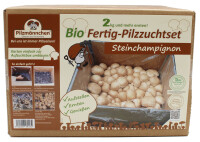 Bio-Champignon-Pilzzucht-Set, 2 Boxen im Set, braun + weiß